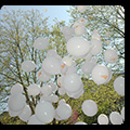 Latexballons Massenstart